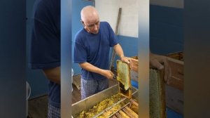 Воспоминания о лете! Откачка мёда 2022 года!