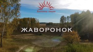 Бабкины внуки - Жаворонок (audio) Russian folk music | Lark