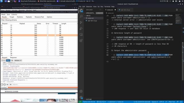 13. Lab 12 - Blind SQL injection with conditional errors смотреть онлайн