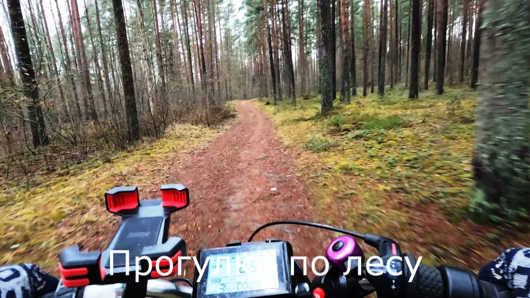 Прогулки по лесу. На велосипеде от озера до выхода из леса. смотреть онлайн