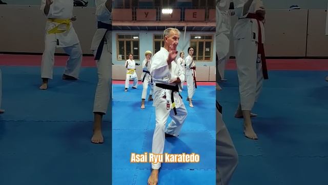 Кихон с ротацией. Asai Ryu karatedo. #karate #каратэ #asairyu смотреть онлайн