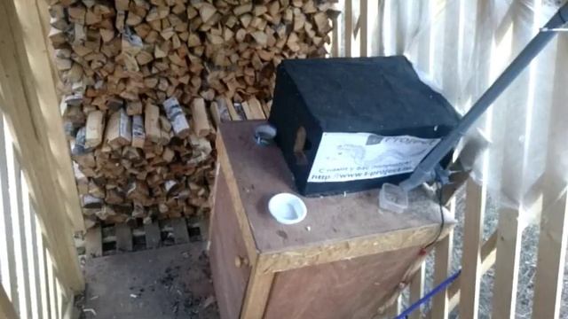 Зимняя жизнь дачных котов (Live) смотреть онлайн