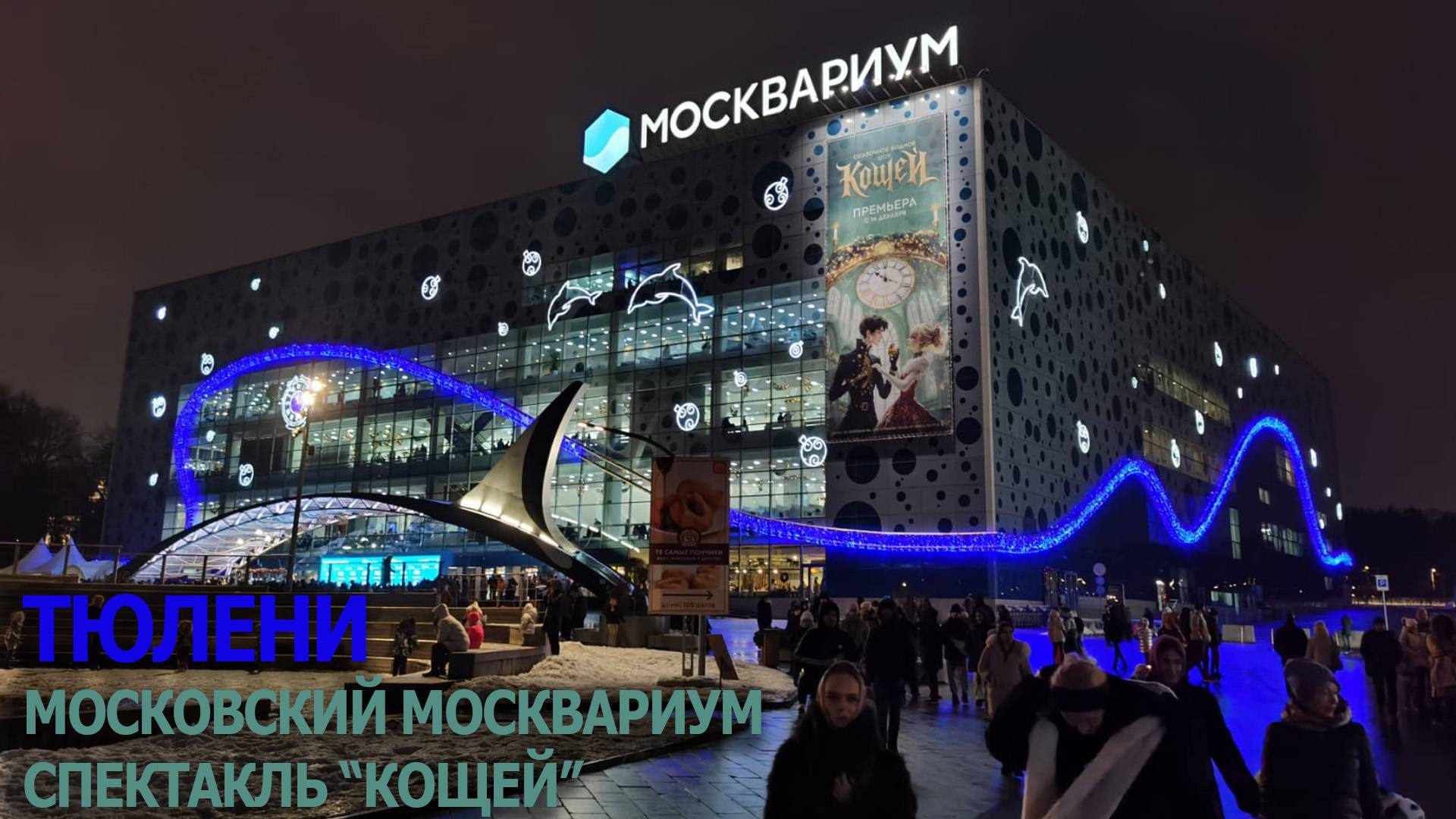 Москвариум - Тюлени (фрагмент спектакля Кащей) смотреть онлайн