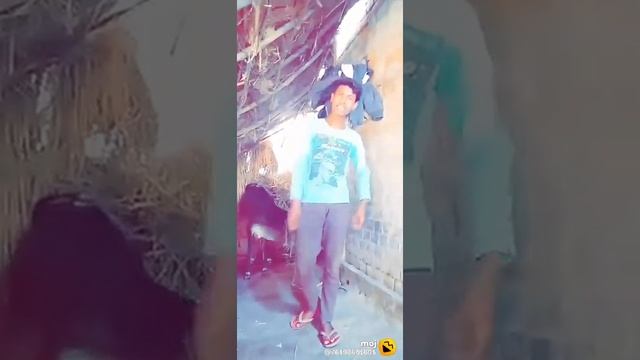 pintu kuma r смотреть онлайн