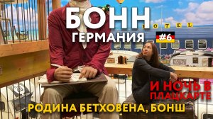 БОНН - стоит ли ехать? Ночевка в вагончике. ГЕРМАНИЯ. Достопримечательности и цены. Что посмотреть?