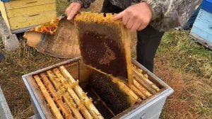 ДОФОРМИРОВЫВАЕМ СЕМЬИ!!! ТЕСТ НА ЗАКЛЕЩЁВАННОСТЬ!!!