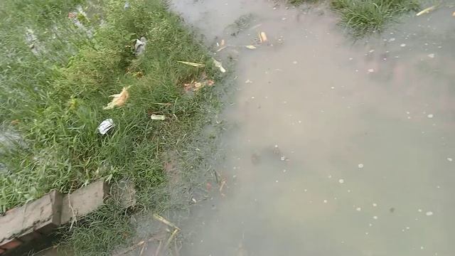 gram chuka haan post badhana Kala Thana chaubeypur me barees panee nikasee Ka kohi smdhan nhi hai смотреть онлайн