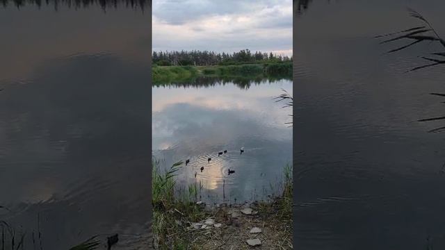 Тишь да гладь, божья благодать смотреть онлайн