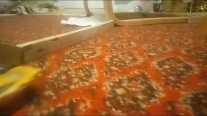 тачки новое поколение (финал и начало...)