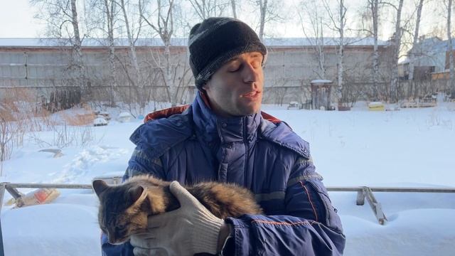 Личный опыт работы в офисе и на вахте. Где лучше? смотреть онлайн