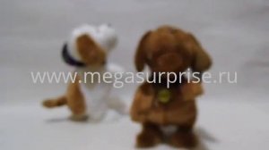 Ласковый Щенок. www.megasurprise.ru