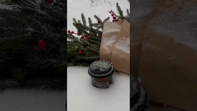 Зимняя прогулка по лесу