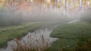 Низко стелется туман