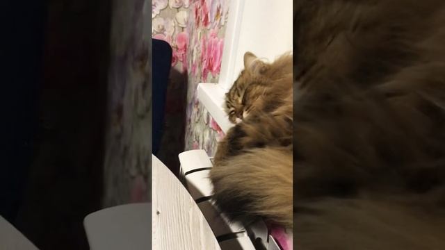 Самообладание и выдержка