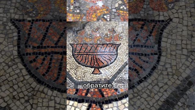 Древние римляне ели мухомор для общения с Богом?🤔 смотреть онлайн