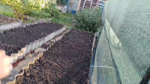 🍓Подготовка грядки для клубники🍓Испробовала все способы - остановилась на этом🍓
