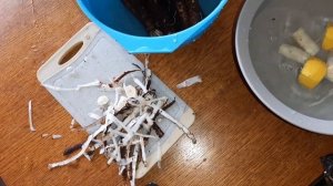 Моя любимая рубрика. Пробую первый раз. Встречайте-Скорцонера