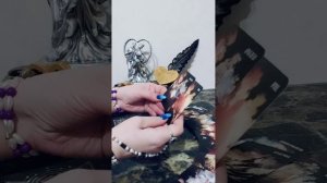 РУБРИКА⏰Предопределено☝БЛИЖАЙШИЙ ДИАЛОГ С ЛЮБИМЫМ 💞👫💞СОВЕТ ТАРО 💌#вераwedomira