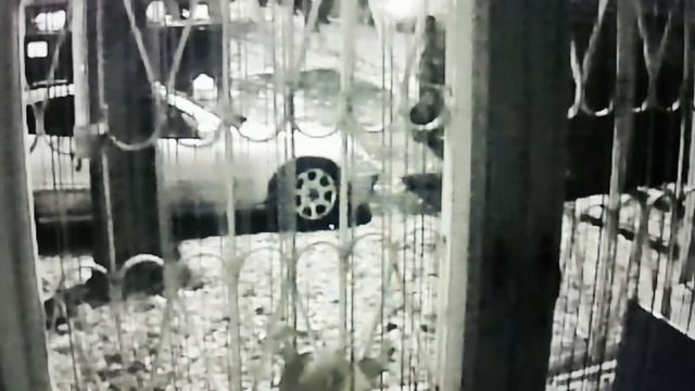 Пситеррор. Гангсталкинг. "Световые точки". смотреть онлайн