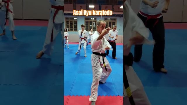 Отработка Кихон. Asai Ryu karatedo. #каратэ #karate #asairyu смотреть онлайн