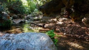 стихи Ахматовой