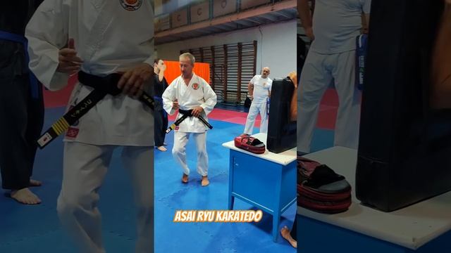Отработка Ёко Гери кекоми с помощью препятствия. #каратэ #karate #asairyu смотреть онлайн