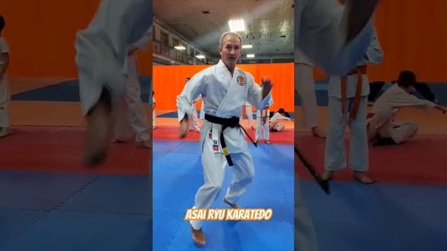 Прыжки с разворотом на 360 градусов. #asairyu #каратэ #karate смотреть онлайн