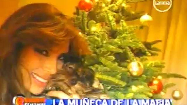 Angie Sanclemente - Capturada la Modelo смотреть онлайн