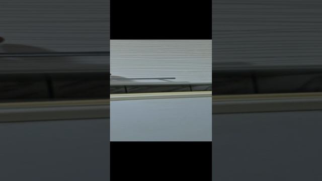 Сдам квартиру Осипенко, 16 смотреть онлайн