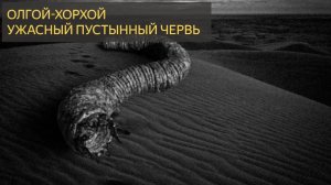 Олгой-Хорхой  -  Ужасный пустынный червь