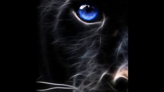 Nastya - TIGER NEW SONG смотреть онлайн