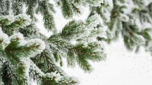 Вдохновение благословение и исцеление вашей души и сердца от нашего Господа Бога Иисуса Христа.