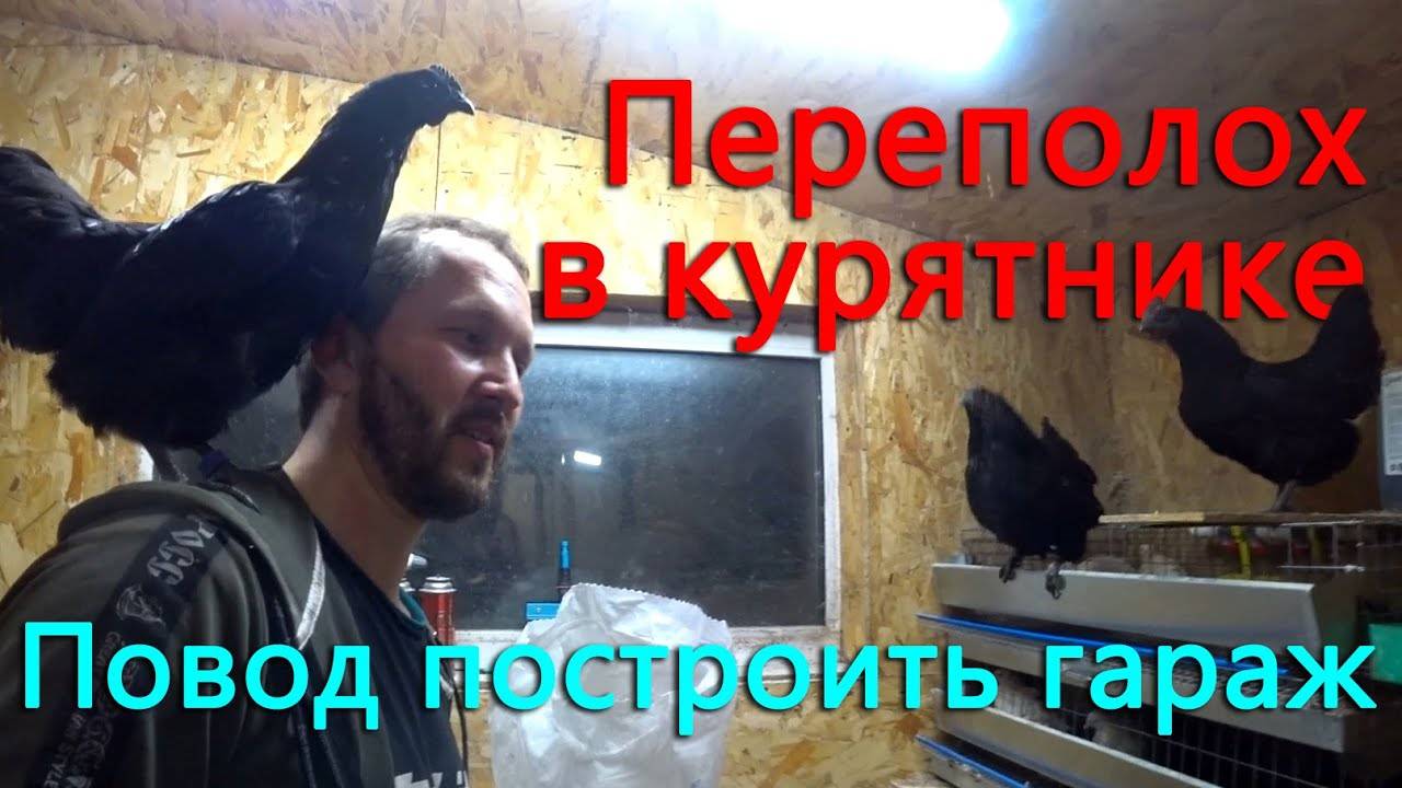 Новые необычные птички в хозяйстве. Готовлюсь к продолжению ремонта опеля. Суп из ложки. смотреть онлайн