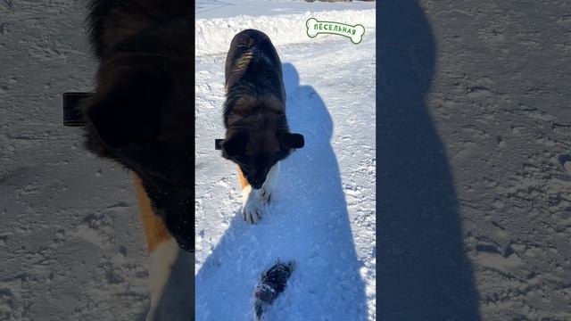 Эй, я спрашиваю! смотреть онлайн