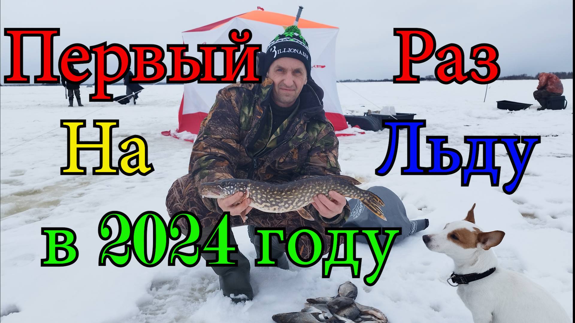 И в Глухозимье Можно Поймать Рыбу. Две Ночи в палатке на льду с Братом и Бобиком. рыбалка