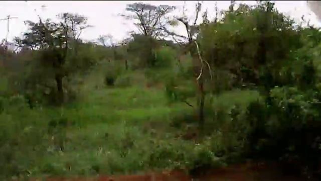 Kenya, Tsavo National Park смотреть онлайн
