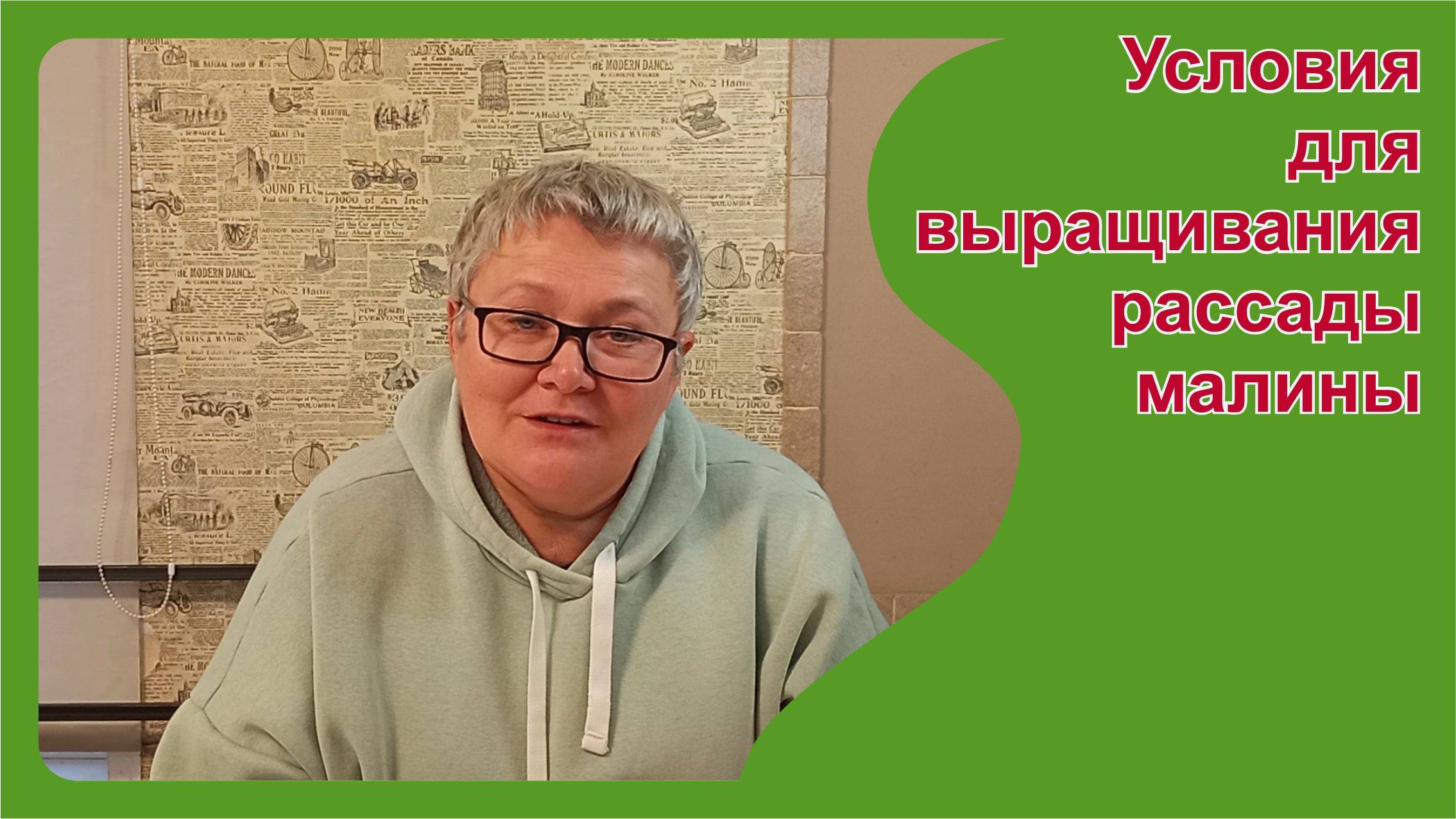 Условия для укоренения крапивки малины. Анализ ошибок сезона 2023.