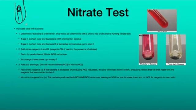 Nitrate Test Micro Lab смотреть онлайн