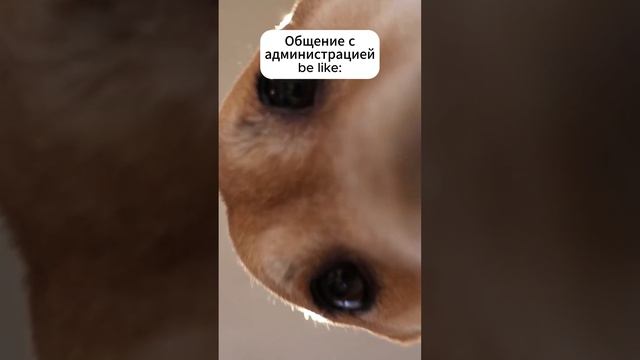 К-коммуникация. Как сэкономить на покупке земли до 1млн рублей: https://zemlya007.ru/vebinar?utm_med смотреть онлайн