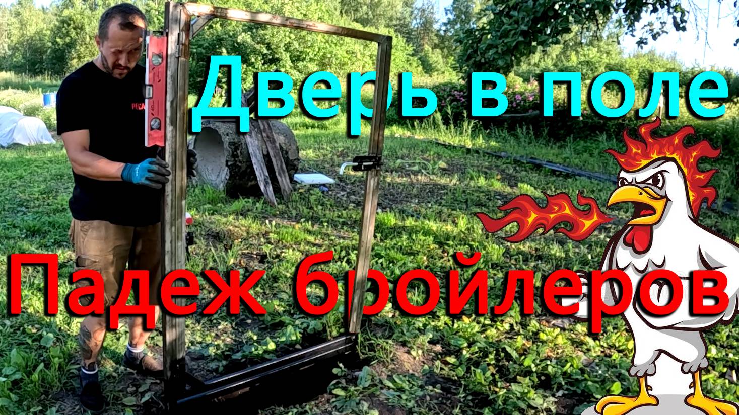Начался падеж бройлеров, но их стало больше. Установили дверь в поле сквозь которую можно пройти. смотреть онлайн