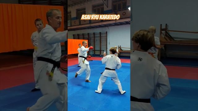 Подводящие комбинации для кумитэ. Asai Ryu karatedo. #asairyu #karate #каратэ смотреть онлайн
