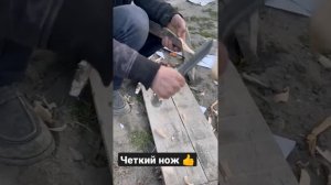 ОРЛАН ЭКСКЛЮЗИВ,НИКЕЛЬ ДАМАСК КОЖА