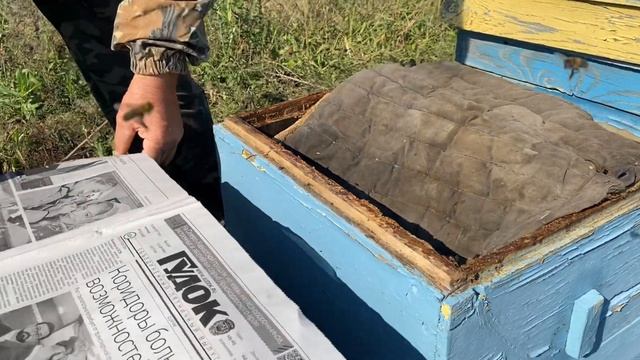 ОСЕННЕЕ ОБЪЕДИНЕНИЕ ПЧЕЛОСЕМЕЙ!!! смотреть онлайн