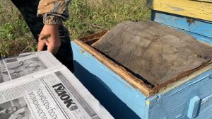 ОСЕННЕЕ ОБЪЕДИНЕНИЕ ПЧЕЛОСЕМЕЙ!!!