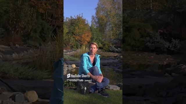 Что нужно для создания водоема в саду? смотреть онлайн