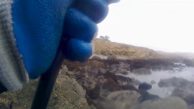 Morro Bay Fishing : Monkey Faced Eel. смотреть онлайн