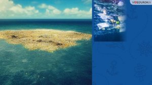 Видеоурок для классного часа «Всемирный день водных ресурсов»