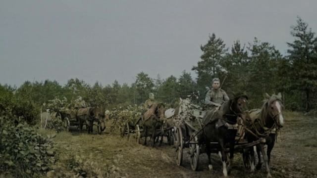 Никто не собирался церемониться с дезертиром смотреть онлайн