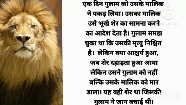 शेर ने चुकाया अहसान sher ne chukaya ahshan short story смотреть онлайн