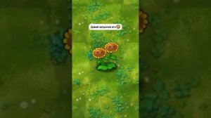 миниатюра №40 - растения против зомби  #пвз #pvz #shorts